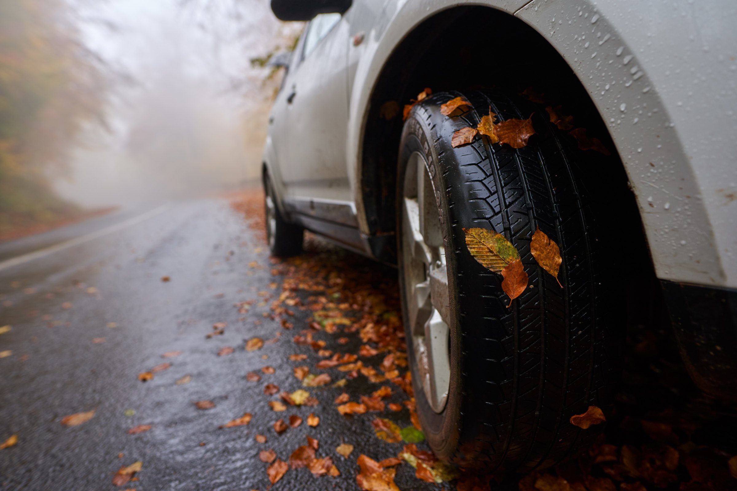 Fall Roads: Leaves, Fog and Early Dark